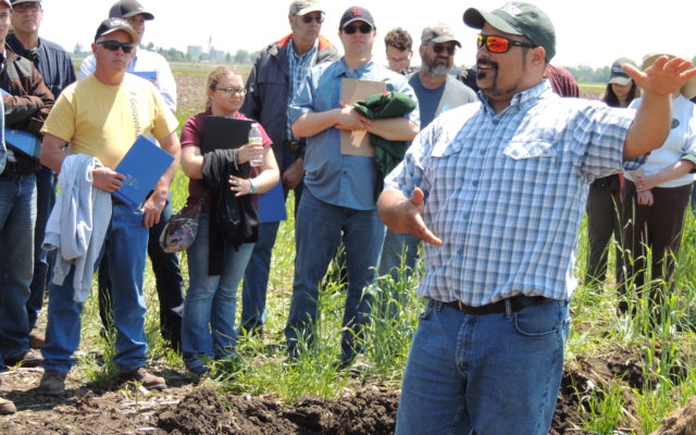 Mower SCWD’s “Cover Crops 101” sessions starting Wednesday at Riverland Community College