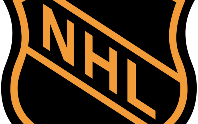The NHL will be “pausing” its sesaon