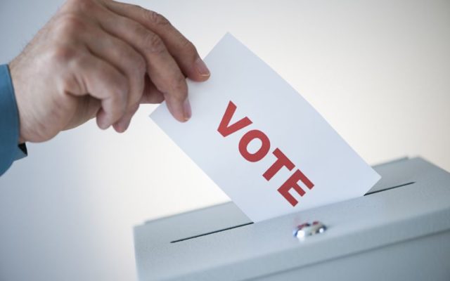 Voting numbers in Mower County in Tuesday’s mid-term election similar to those from 2018