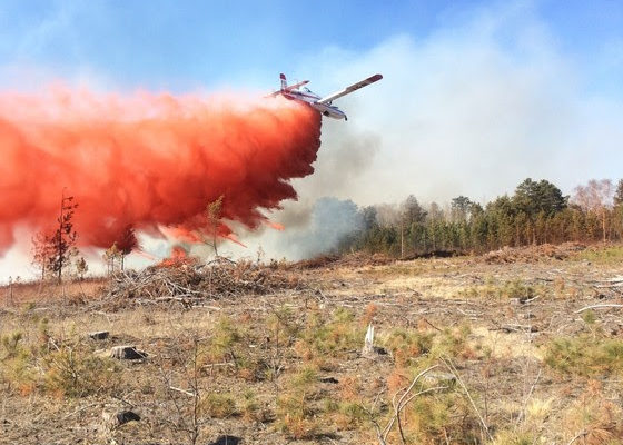 Keep drones grounded this spring wildfire season