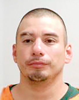 Austin man facing felony burglary, assault, domestic assault, terroristic threats and weapons charges in Mower County District Court