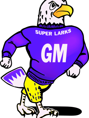 Grand Meadow Superlarks girls’ basketball rolls by Spring Grove 66-21 Monday evening