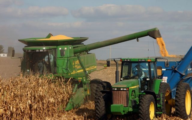 Report states Minnesota farmers saw higher profits in 2020 despite COVID-19 pandemic