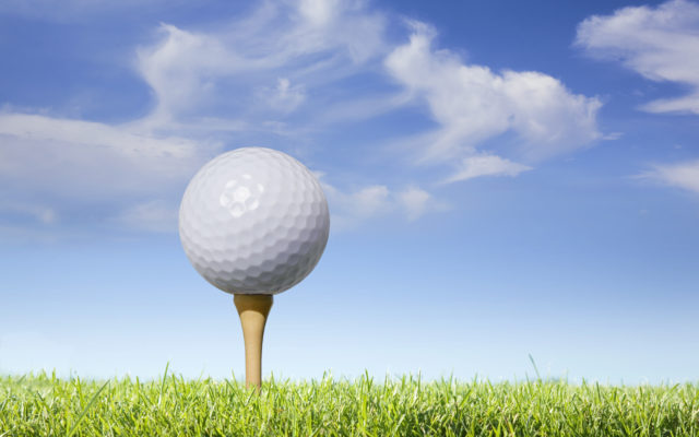 Ryan Gordon Memorial Golf Tournament & Silent Auction happening this weekend