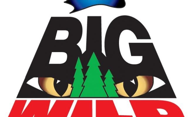 The final edition of The Big Wild will air this weekend