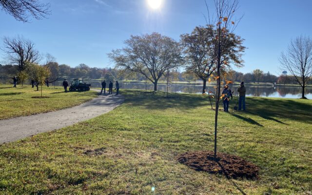 Spruce Up Austin plants 10 trees at East Side Lake