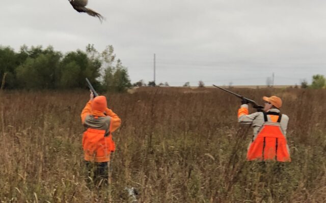 Pheasant hunting opens this weekend