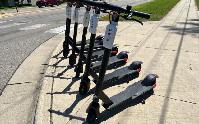 Bird Scooters are now in Austin