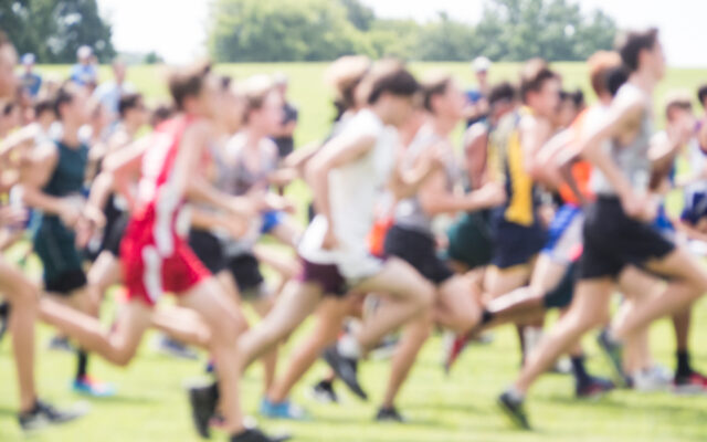 Area cross-country teams compete at 23-team Bill Glomski Invitational in Stewartville Thursday
