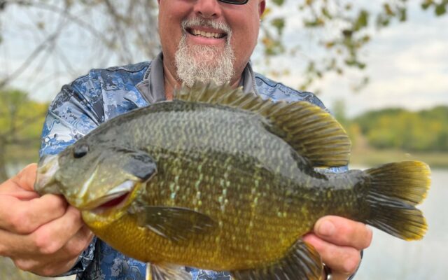 MN DNR certified two new state record fish