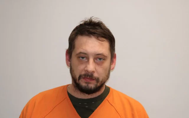 Austin man pleads guilty to felony criminal vehicular homicide charge in Mower County District Court