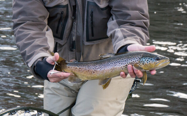 Stream trout fishing opens in streams statewide April 15