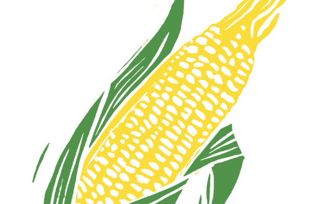 Take a walk through a “Reba” corn maze near Hastings, MN